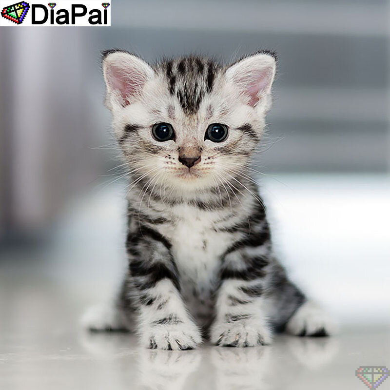 DiaPai-pintura de diamante 5D DIY "gato Animal", cuadrados o redondos de imitación bordado de diamantes, estilo punto de cruz, decoración 3D, A21524, 100%