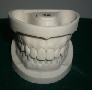 Corundum tooth model Preparation of dental practice Standard dental model free shipping