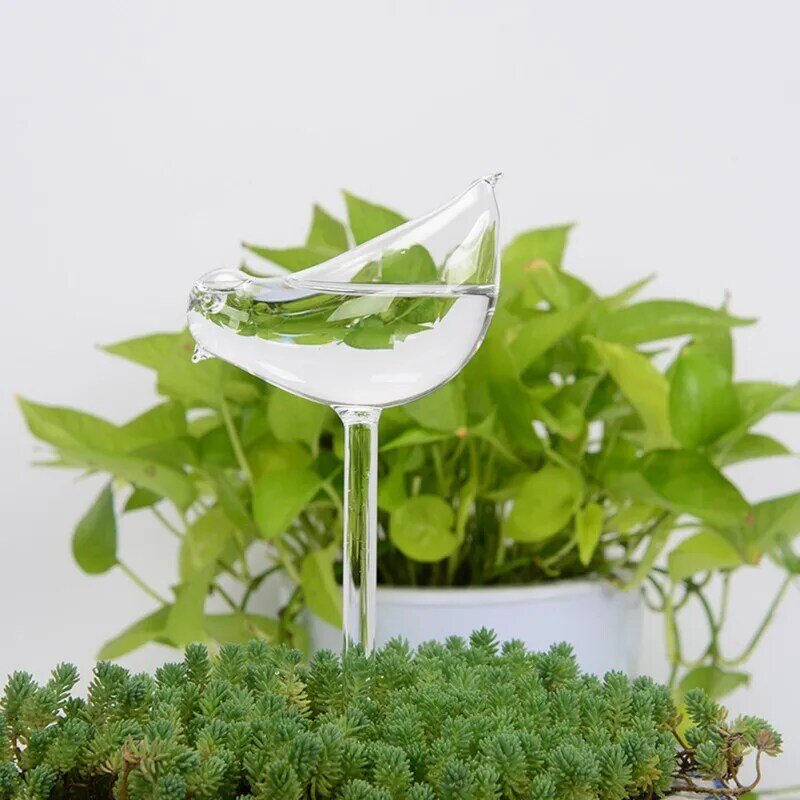 12 모양 유리 자동 자체 급수 조류 급수 캔 꽃 식물 장식 투명 유리 급수 장치 관엽 식물