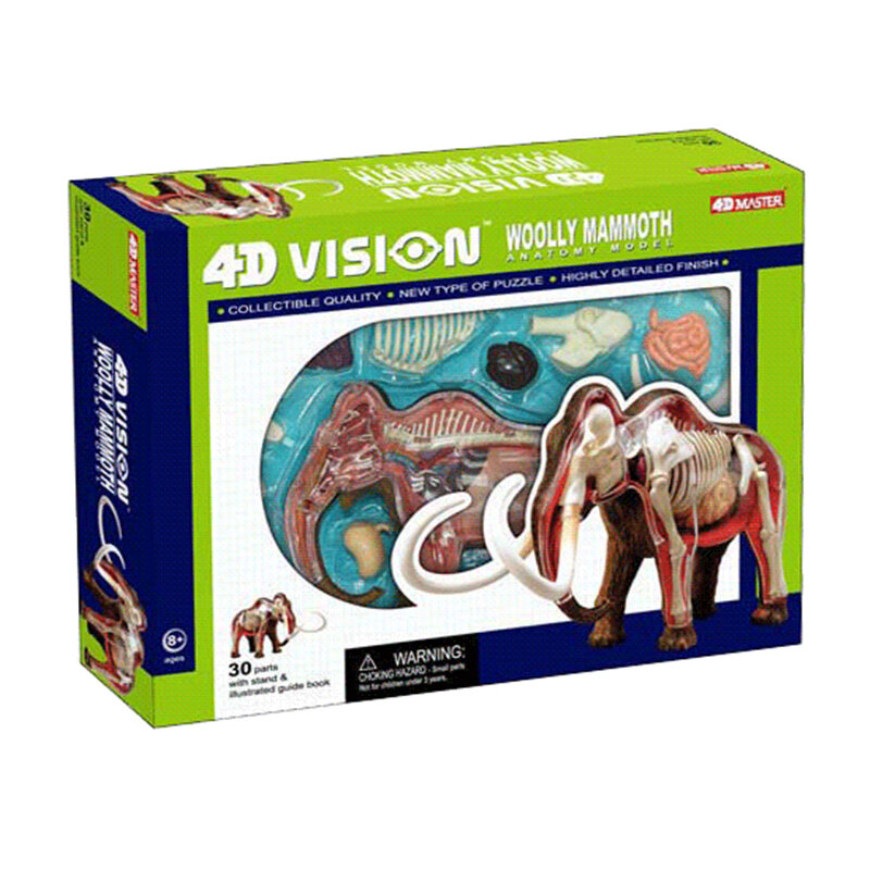 4D Mammoth Kecerdasan Perakitan Mainan Hewan Organ Anatomi Model Pengajaran Medis DIY Ilmu Pengetahuan Populer Peralatan