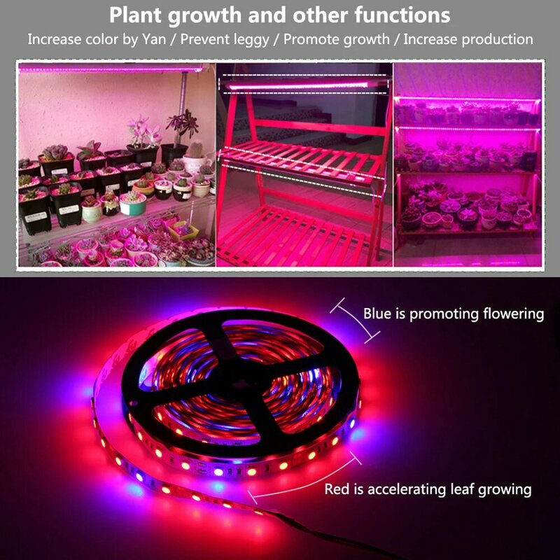 Faixa de cultivo hidropônico com led, lâmpadas led de espectro completo 12v, vermelho, azul, para estufa e plantas hidropônicas