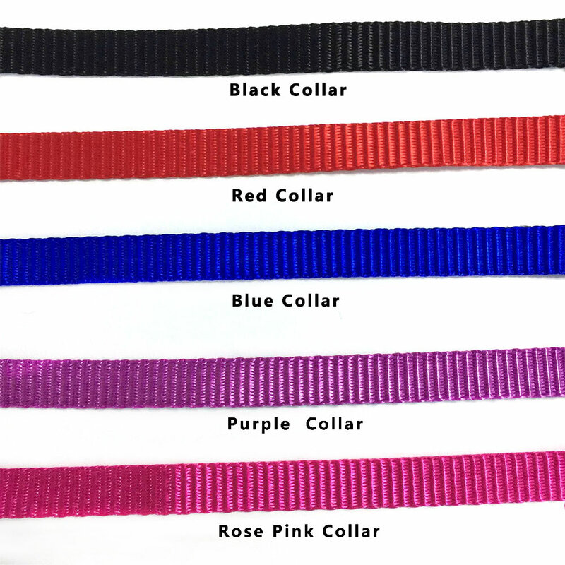 Custom Cat collar Breakaway personalized with bell Embroidery pets name phone number collars
