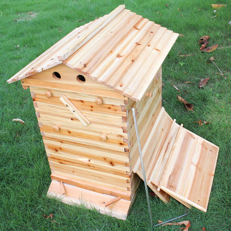 Caja automática de madera para colmena de abejas, equipo de apicultura de alta calidad, suministros de herramientas, 7 marcos