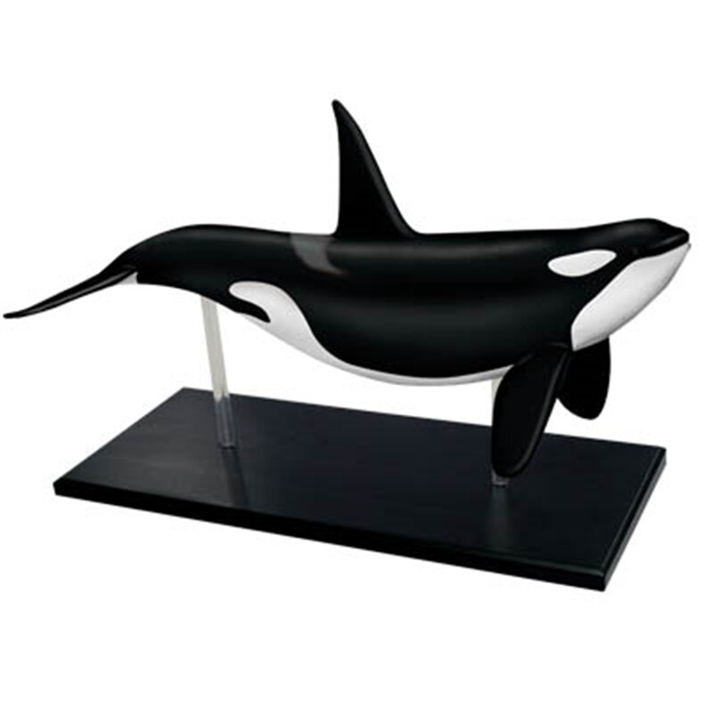 Jouet d'assemblage d'intelligence de baleine 4D, modèle d'anatomie des organes d'animaux, enseignement médical, appareils scientifiques populaires à monter soi-même