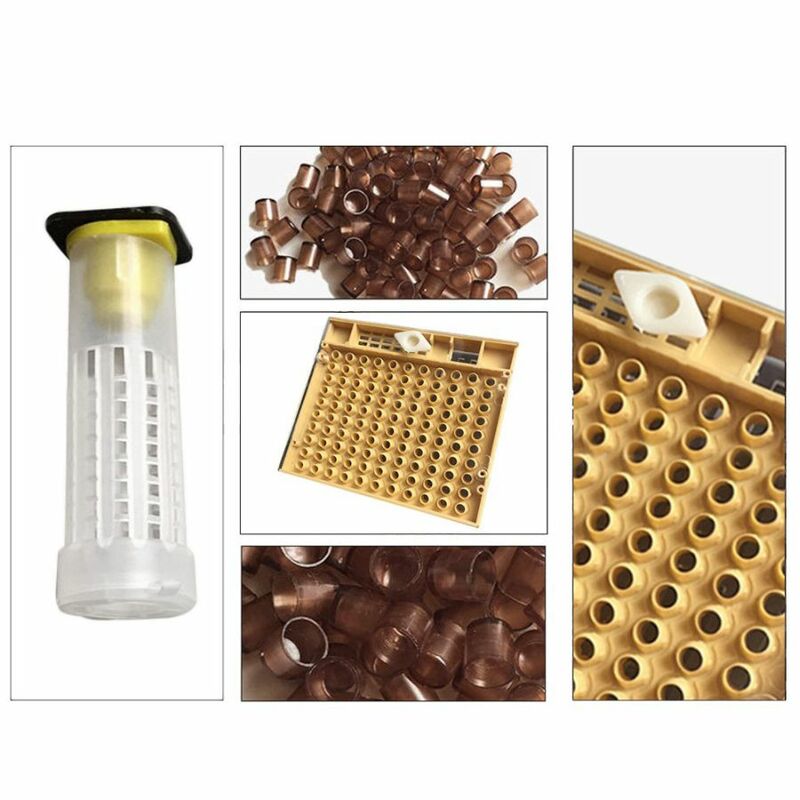 Beekeeping Tools Equipment Set Queen Rearing System Cultivating Box 110pcs Plastic Bee Cell Cups Cup kit Queen Cage