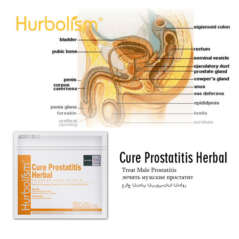 Natural Herbal Ingredients to Cure Prostatitis and Nourish Prostate Functions, Improve Male Sex Ability