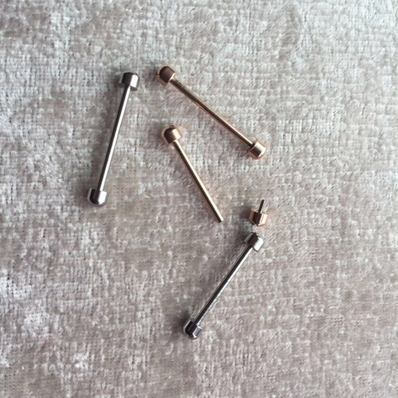 2Pcs Rose Gold Sekrup Tabung Rod Spring Bar Screw-In Perhatikan Lug Batang Link Kit untuk Menonton strap Band 18Mm 20Mm 22Mm