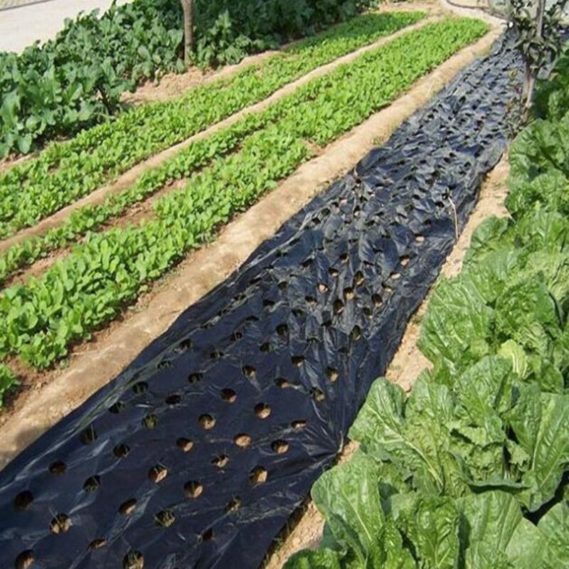 온실 잡초 방제 천공 PE 멀치 필름, 정원 야채 식물 성장, 블랙 필름 보호 커버, 5 ~ 50m, 0.02mm, 5 홀