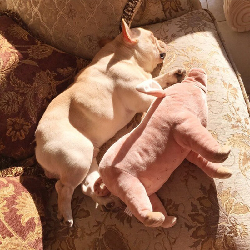 犬の咬傷のおもちゃ豚形状ペットのおもちゃaccompani睡眠豚のおもちゃぬいぐるみ綿睡眠パートナー子犬犬ブルドッグテディ