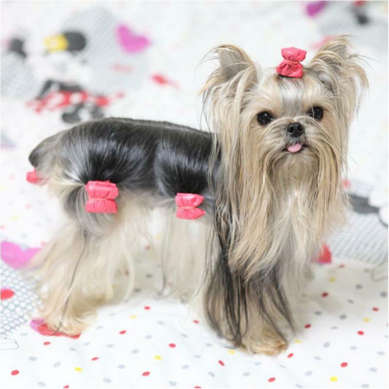 10 pçs bowknot bonito cão borracha banda artesanal pet grooming acessórios fita mista arco de cabelo cor aleatória