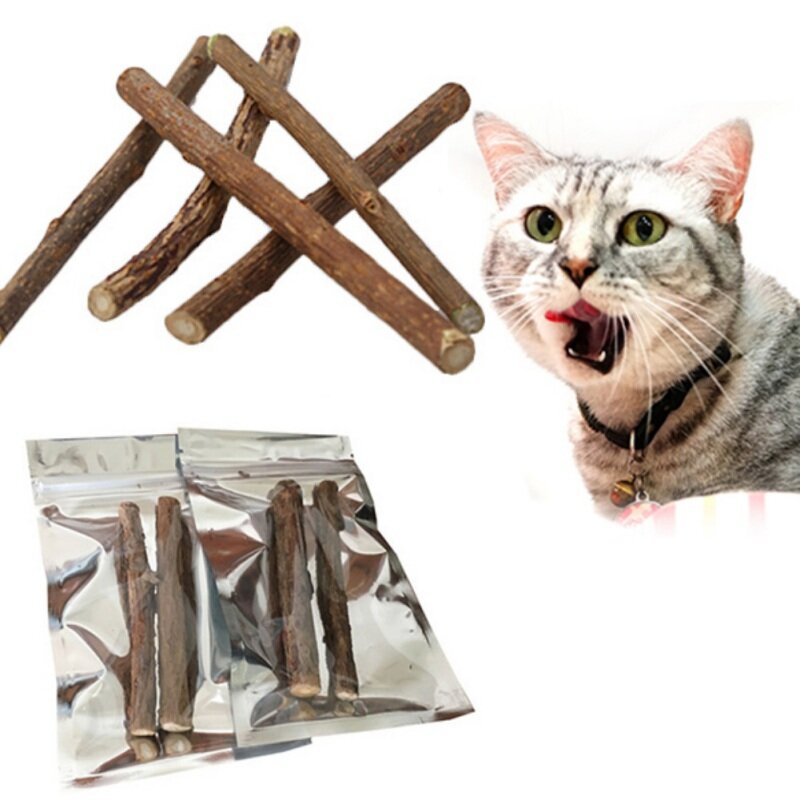 Czyszczenie zębów kota naturalna kocimiętka kot domowy molowy pasta do zębów kij Matatabi owoc aktinidii Silvervine kot przekąski kije 15/20 sztuk