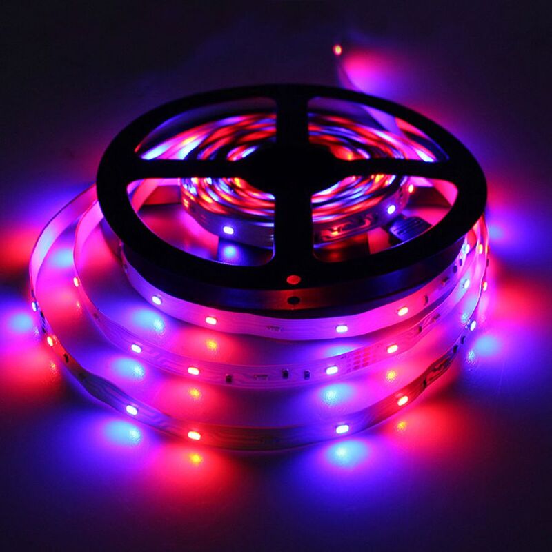 Tira de luces led SMD 3014, cinta luminosa flexible de diodo, 5m, 60led/m, 300led, CC de 12V, blanco cálido/RGB