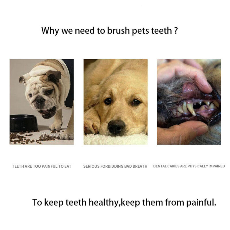 10 pces pet escova de dentes de dedo para cão gato limpo dentes escova de dente de cão material de silicone transparente