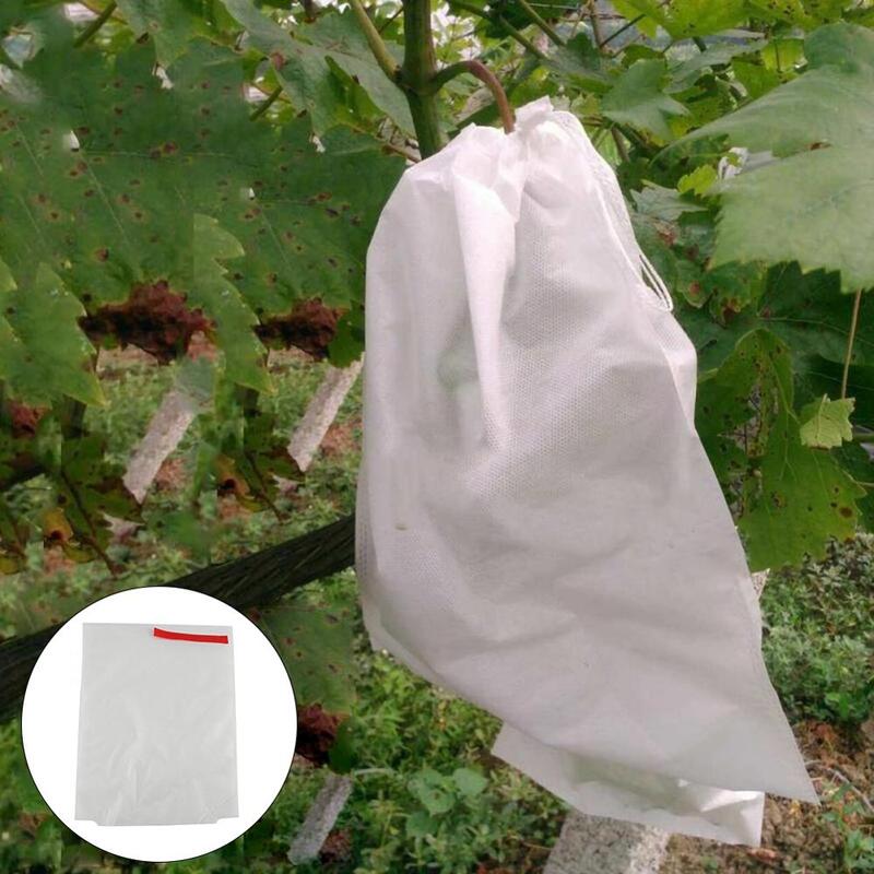 Bolsa de protección contra la humedad de aves, red para insectos, verduras y frutas, para prevenir mosquitos, 100 piezas