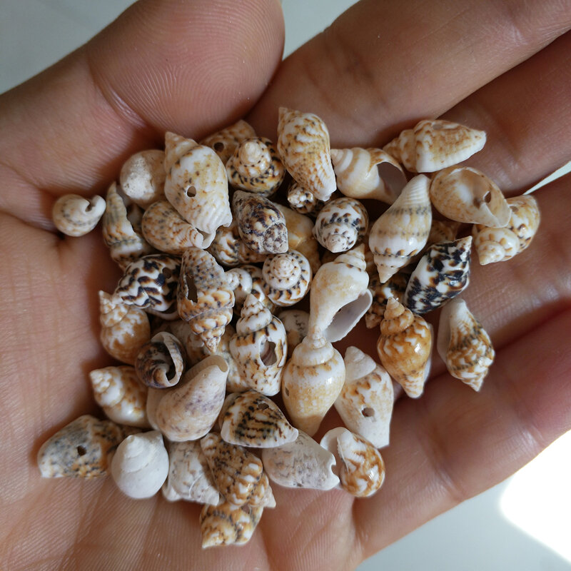 50pcs 10-13mm One hole Natural Mini Spiral SeaShell leopard print Shell for glass bottle decoration DIY handmade conch crafts