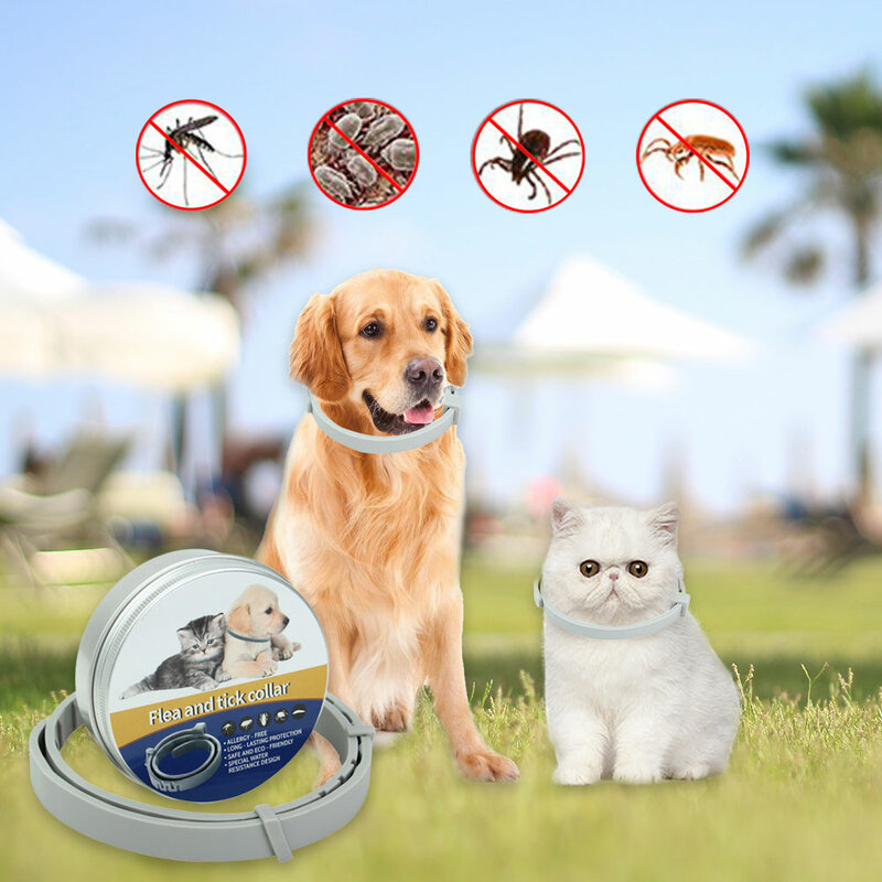 Dog Cat Collar Anti Flea Pet Protection Collar for Dogs/Cats Adjustable Cat Collar Anti-Flea Tick Mosquitoes Pet Supplies Puppy