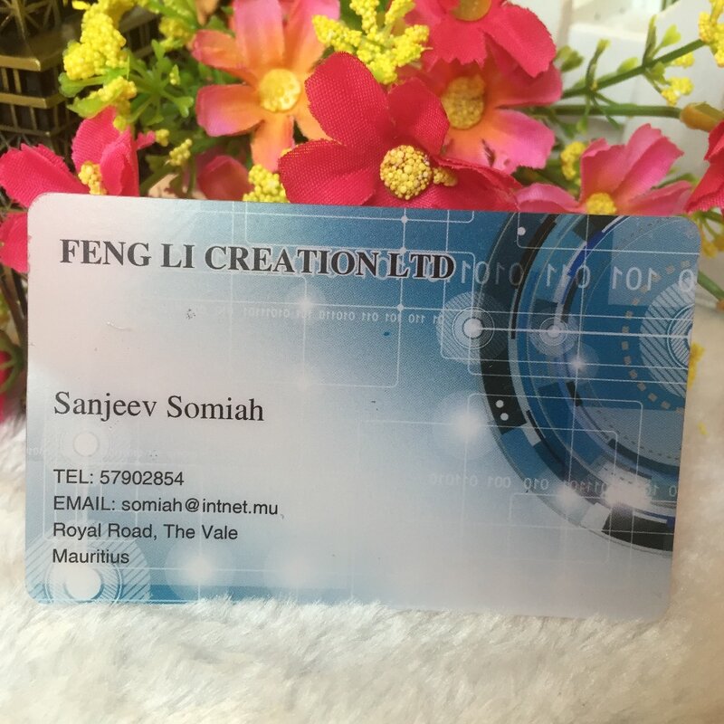 customized business cards custom frost transparent plastic business card printing  stronger and waterproof name/visit card