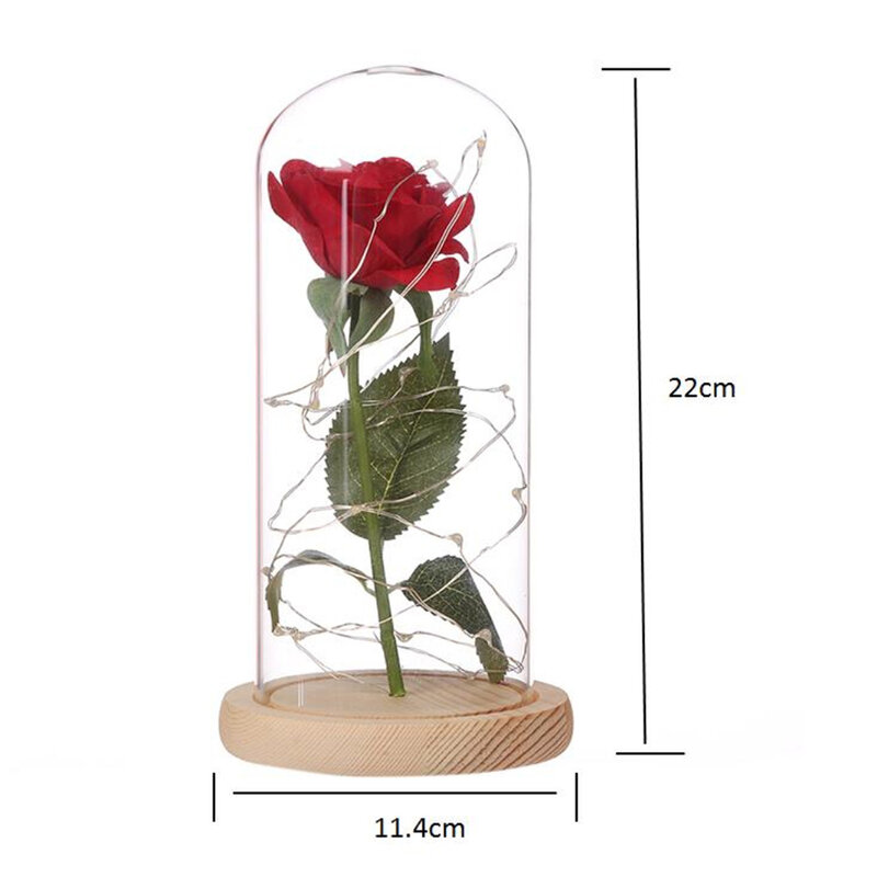 Medium Beauty and The Beast Rose In Glass Dome Forever Red Rose Rose stabilizzate Belle Rose regalo romantico speciale Dropshipping