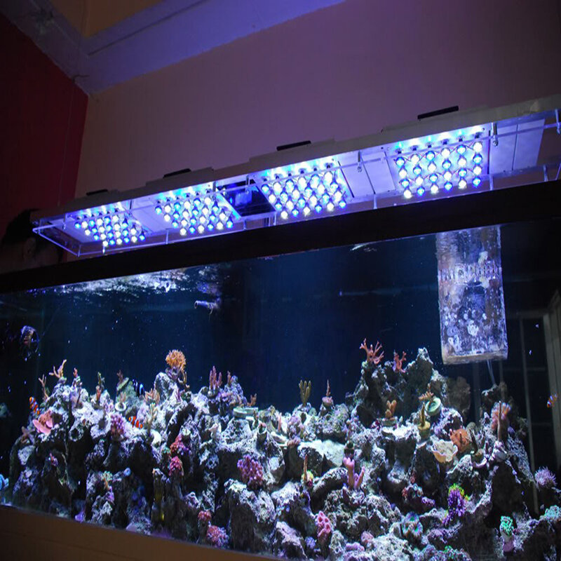 Lampes à diode led Epistar 3w/1w, 10 pièces/lot, lampes chaudes/froides/naturelles, blanches/rouges/jaunes/bleues/vertes/UV pour la croissance d'aquarium