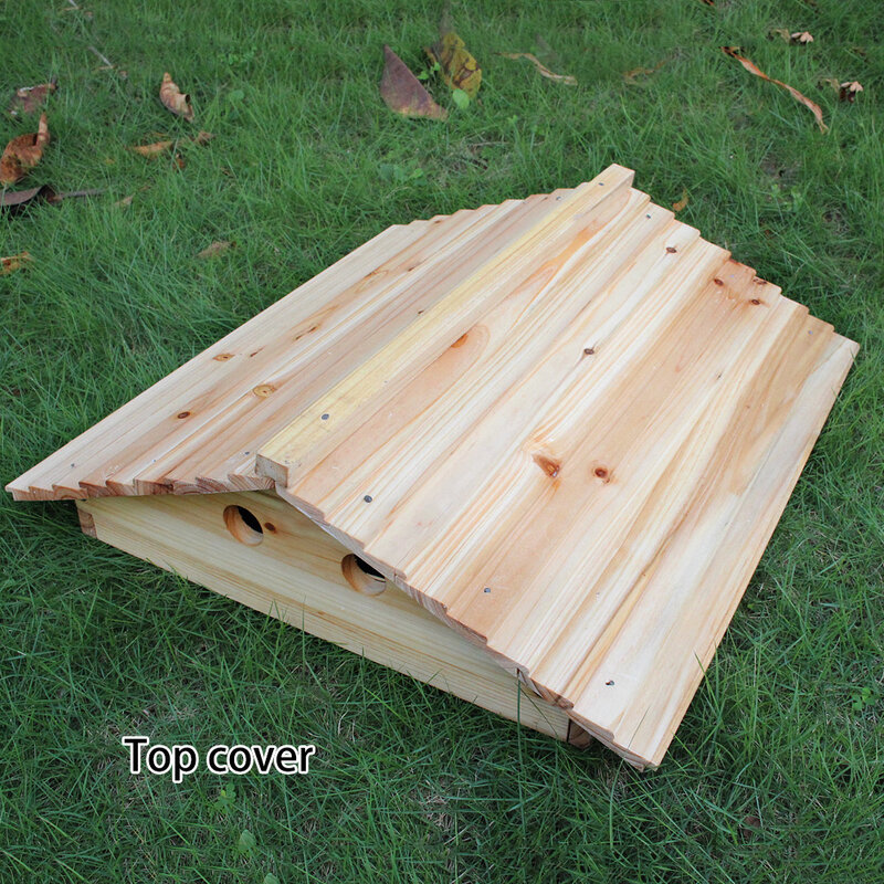Caja automática de madera para colmena de abejas, equipo de apicultura de alta calidad, suministros de herramientas, 7 marcos