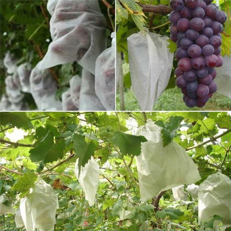 100 pçs saco de proteção de uva anti-pássaro umidade inseto net saco de frutas vegetais proteger saco de reprodução evitar mosquitos árvore de fruto