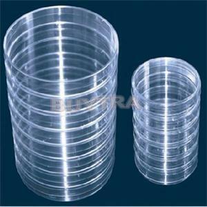 Boîtes de pétri transparentes avec couvercle, 10 pièces, jetables, en plastique, stériles, fournitures de laboratoire chimique, 60mm