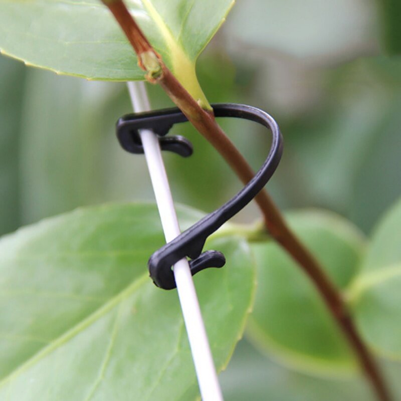 100pcs Garden Plant Vines Tied Buckle Fixed Lashing Hook Agricultural Greenhouse Vegetable Gadget Garden Plastic Planters AB