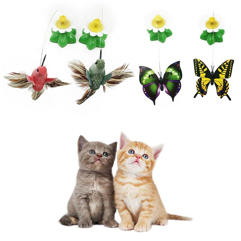 Électrique rotatif coloré papillon drôle chien chat jouets oiseau siège pour animaux de compagnie Scratch jouet pour chat chaton chien chats intelligence formation