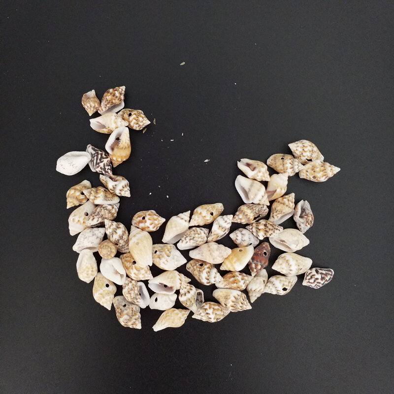 Mini coquille en spirale naturelle | En forme de coquille imprimée léopard, un trou, 10-13mm, bricolage, artisanat artisanal, décoration de bouteilles en verre