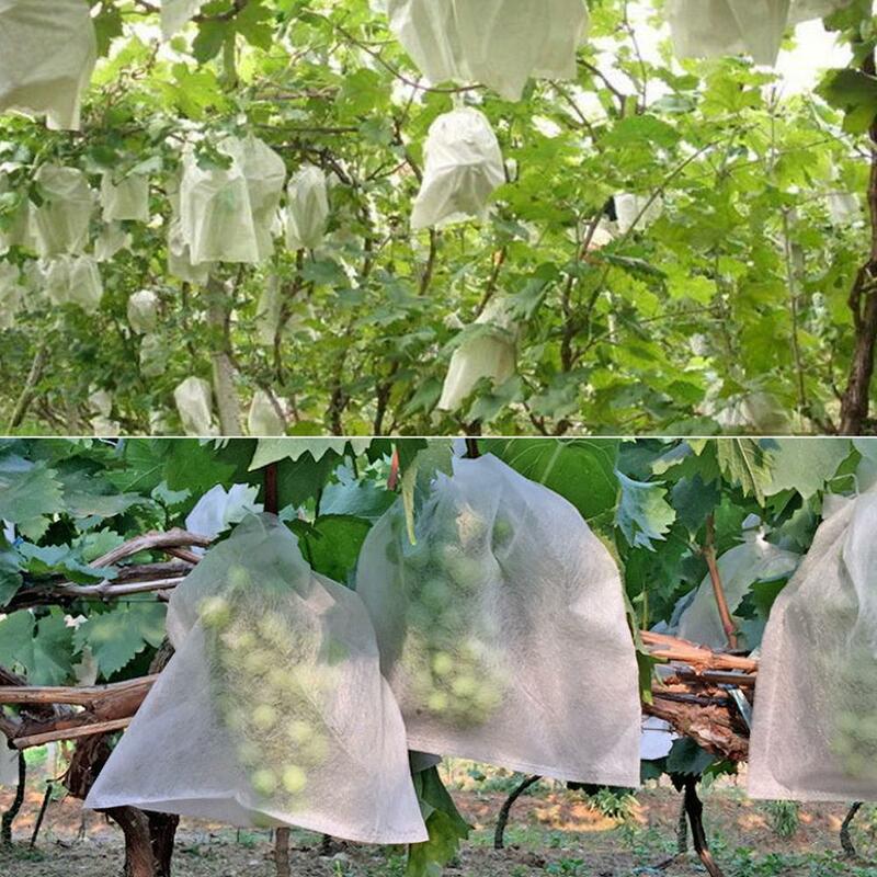 100Pcs Trauben Schutz Tasche Anti-Vogel Feuchtigkeit Insekten Net Tasche Gemüse Obst Schützen Zucht Tasche Verhindern Obst Baum mücken