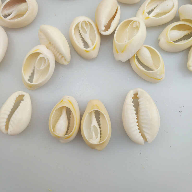 Petites perles de conque naturelles de plage coupées en vrac de 1.6 à 2cm, accessoires de bijouterie artisanale pour bricolage