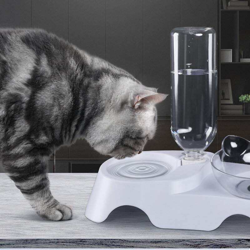 안티-슬립 고양이 음식 접시 애완 동물 피더 물 그릇 고양이와 작은 개 용품에 대 한 완벽 한 애완 동물 고양이 홀더 오블 리크 더블 그릇
