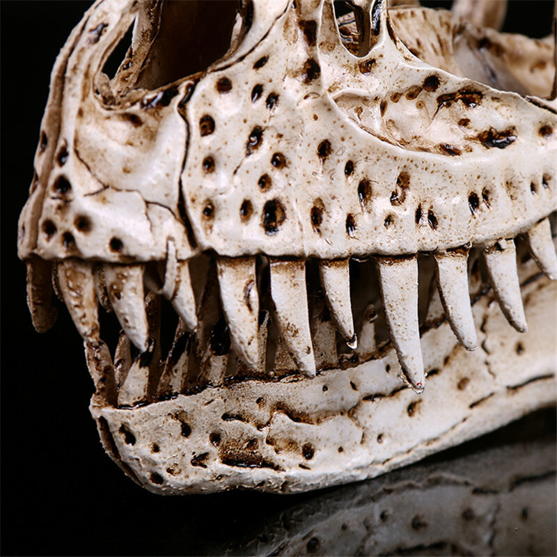 Cuernos de cráneo de dinosaurio, Cráneo de resina y cabeza, adornos creativos para el hogar, adornos personales KLGT017