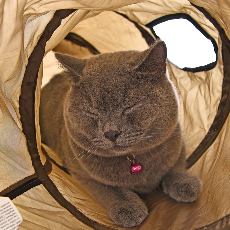 猫用トンネルs折りたたみ式1ウィンドウブラウン/ブルー/グレー猫用