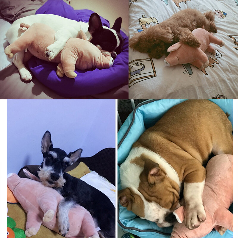 كلب دغة لعبة خنزير شكل الحيوانات الأليفة لعبة مرافقة النوم الخنازير اللعب الدافئة لينة أفخم القطن النوم شريك ل جرو الكلاب البلدغ تيدي
