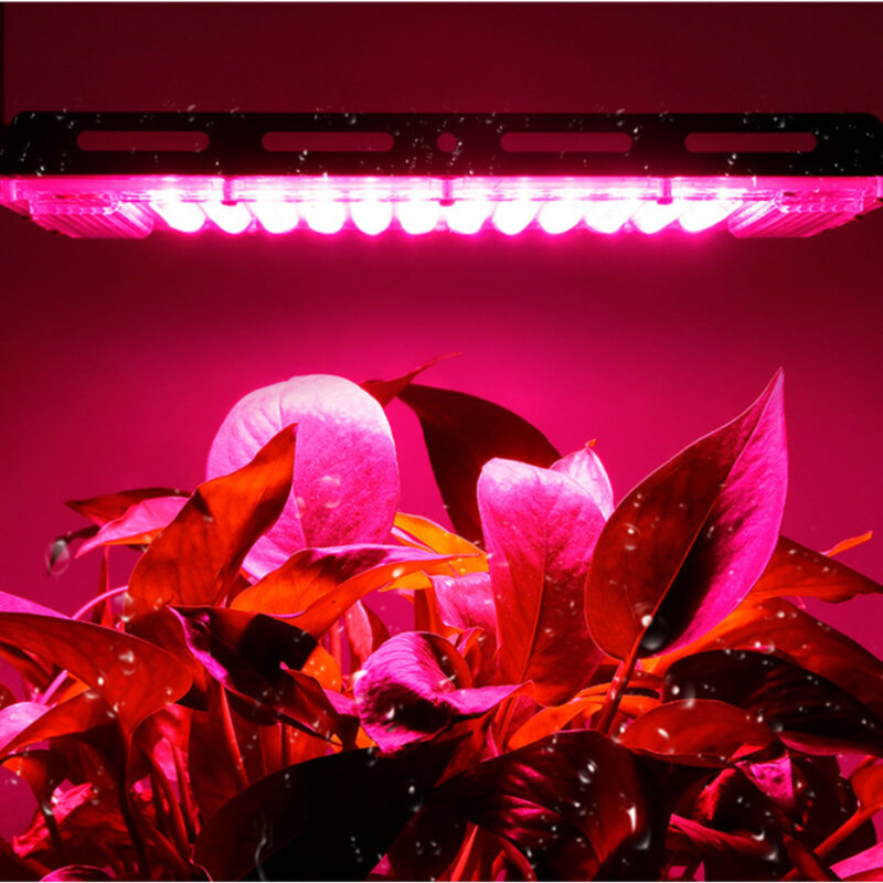 LED كشاف ضوء النبات الطيف الكامل مقاوم للماء تبديد الحرارة النمو مصباح الحضانة الخضار ملء ضوء النبات Lamp-50W/100 واط