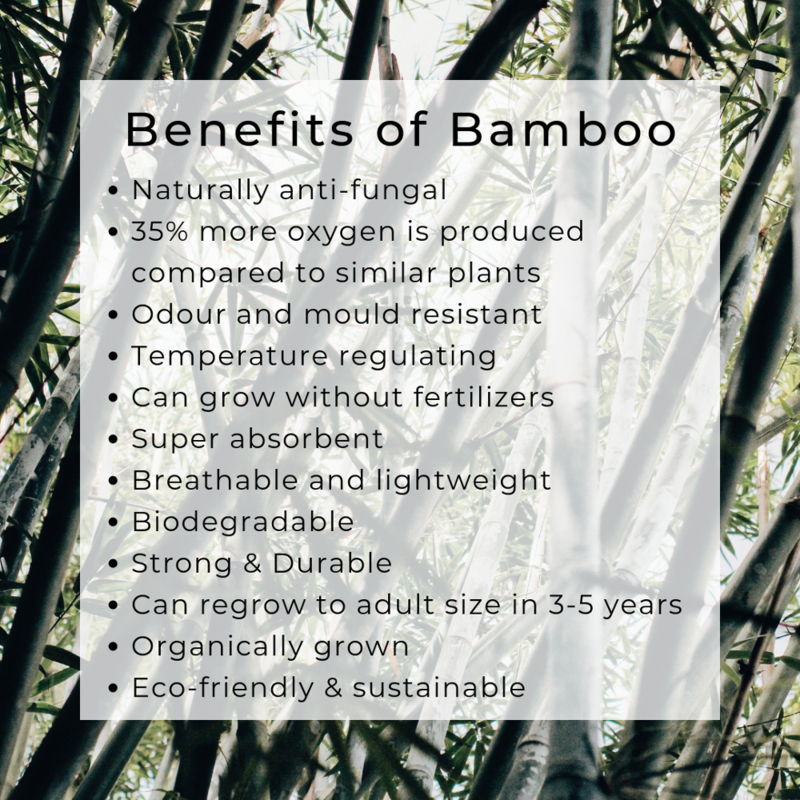 Cepillo de dientes de bambú con cerdas suaves biodegradables, colores mezclados de madera de cepillo de dientes, mango de bambú, cuidado bucal ecológico, paquete de 12