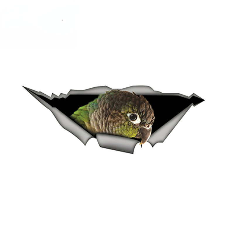 CMCT 3D guancia verde Conure divertente pappagallo migliorato impermeabile modellazione copertura raschiante adesivo, 15cm * 6cm