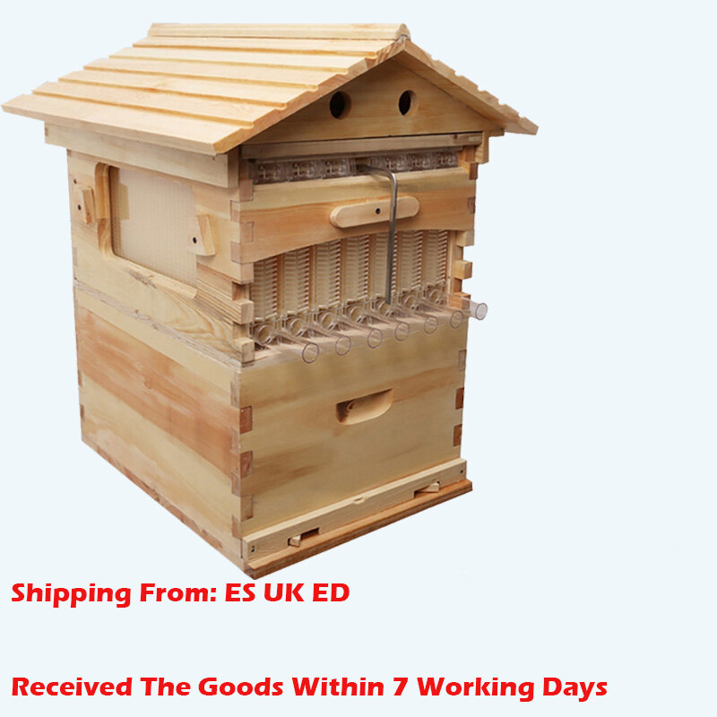 Coleção automática de casa de colmeia de abelha, caixa de madeira para modelos de apicultura