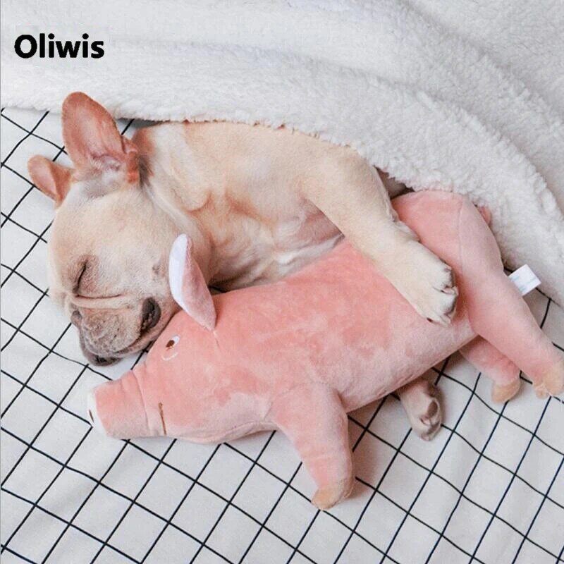 كلب دغة لعبة خنزير شكل الحيوانات الأليفة لعبة مرافقة النوم الخنازير اللعب الدافئة لينة أفخم القطن النوم شريك ل جرو الكلاب البلدغ تيدي