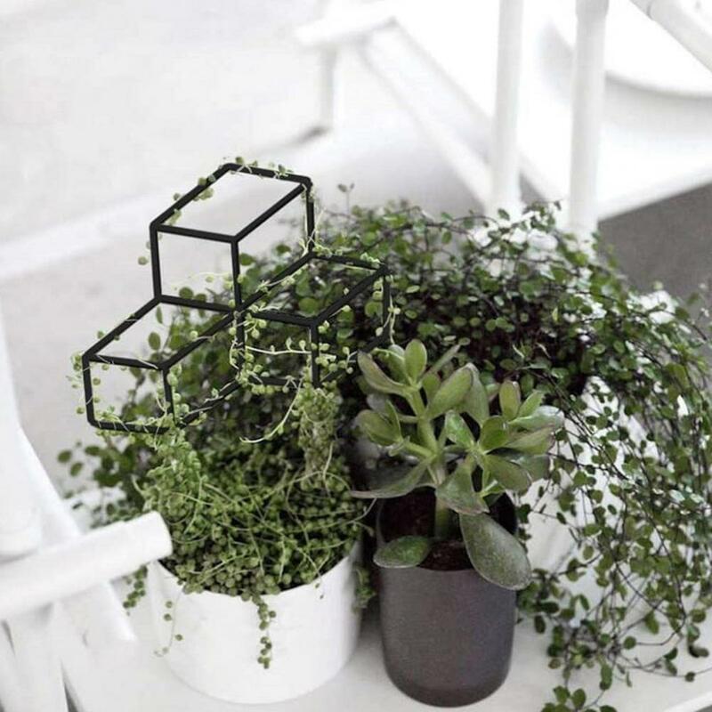 Quadro de suporte de plantas de jardinagem decorativa de metal, fácil de usar, suporte leve para plantas para casa