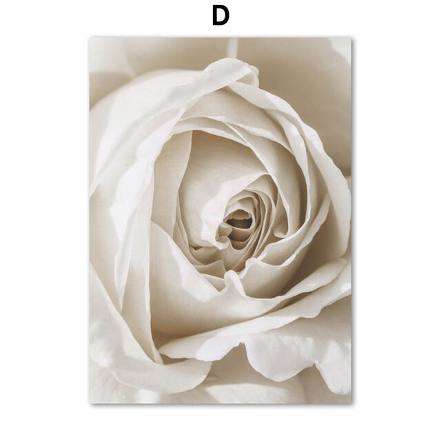 Obraz na płótnie Wall Art plakat skandynawski czarny biały dmuchawiec piórko róża kwiat obrazki do sypialni Home Decor bez ramki