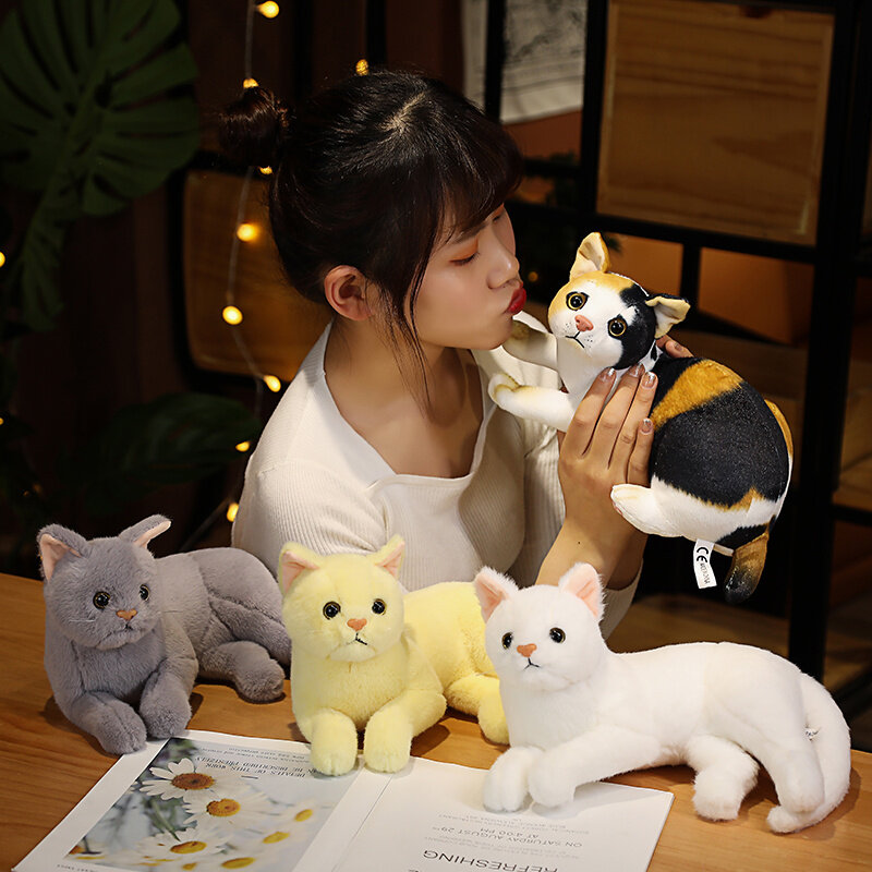 Peluche de chat réaliste 3 couleurs, 1 pièce, 31cm, oreiller de Simulation couché, décoration de chambre, joli cadeau pour enfants et bébé