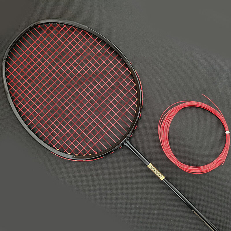 Cordes de Badminton professionnelles, accessoires de raquette d'entraînement, ligne 9 couleurs, divertissement en plein air