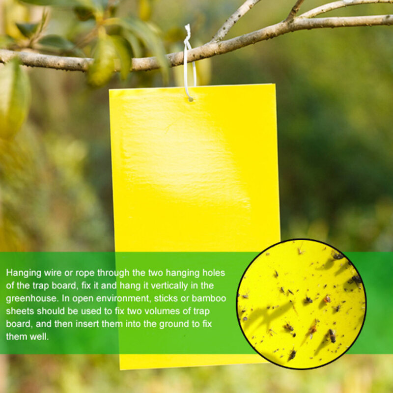 10/20/30 Pcs Fly Bug Mosquito Killer Insecten Pest Catcher Fly Trap Sticker Board Voor Keuken Farm Plant Tuin