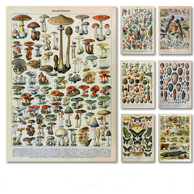 Palaeobios 식물 레트로 포스터 꽃 동물 곤충 나비 버섯 캔버스 회화, 월 아트 캔버스, 유화 홈 장식