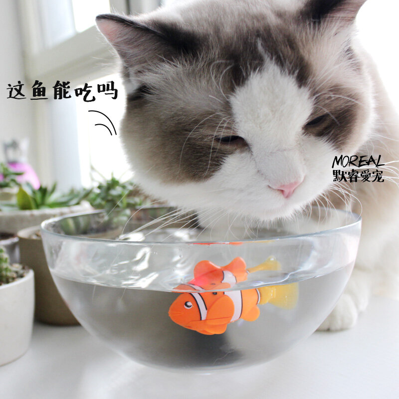 MPK تهتز القط لعبة تعمل بالبطارية الأسماك ، القط تلعب لعبة القط الأسماك Clownfish انجيل العديد من الألوان المتاحة