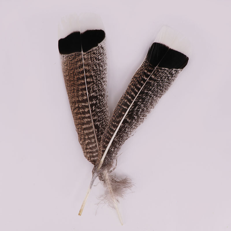 Plumes naturelles d'aigle 10-12 pouces (25-30CM), plume de faisan de turquie pour l'artisanat, bricolage, décoration de mariage, vente en gros