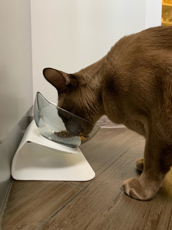 Нескользящая двойная миска с подставкой для кошек, для собак, товары для домашних животных
