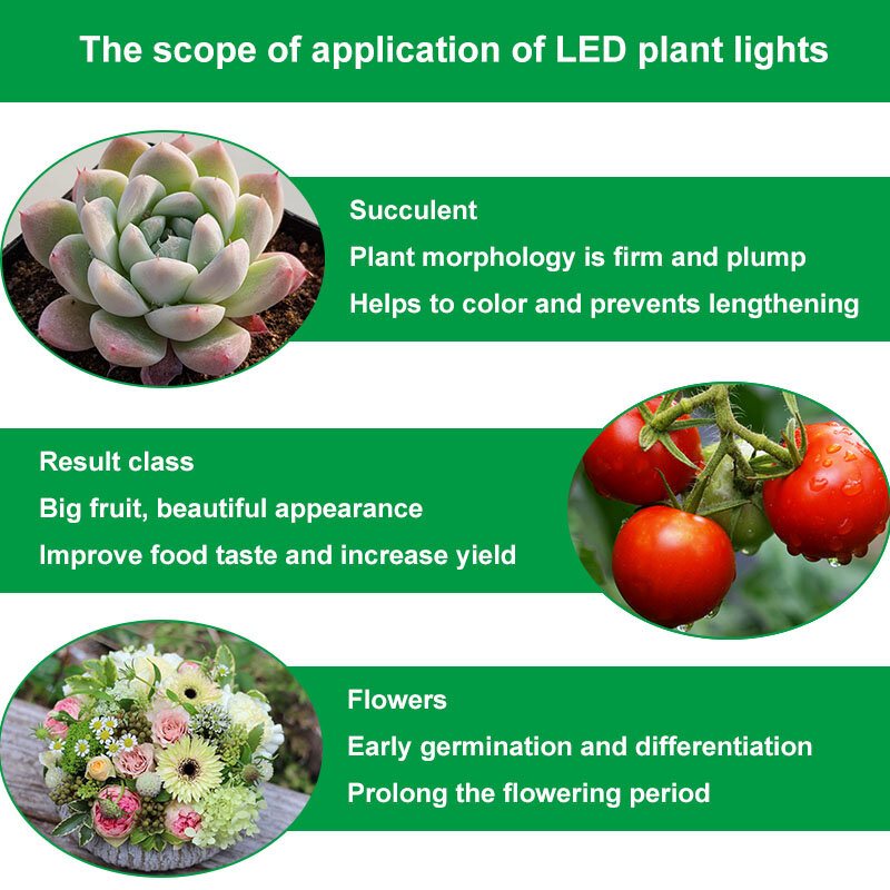 Phyto – bande lumineuse LED pour culture de plantes en serre, 5050, spectre complet, éclairage pour culture hydroponique de graines